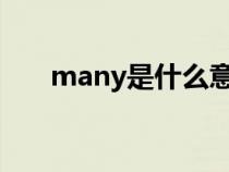 many是什么意思（how是什么意思）