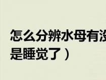 怎么分辨水母有没有毒（如何分辨水母死了还是睡觉了）