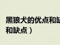 黑狼犬的优点和缺点视频讲解（黑狼犬的优点和缺点）