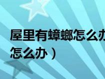 屋里有蟑螂怎么办最有效的方法（屋里有蟑螂怎么办）