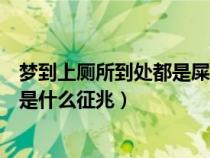 梦到上厕所到处都是屎很脏是什么征兆（梦到上厕所踩到屎是什么征兆）