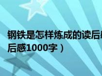 钢铁是怎样炼成的读后感1000字作文（钢铁是怎样炼成的读后感1000字）