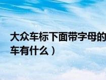 大众车标下面带字母的都有哪些车型（大众车标下有字母的车有什么）