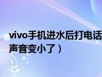 vivo手机进水后打电话听不到声音（vivo手机进水了怎么办声音变小了）