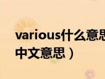 various什么意思中文意思（英语various的中文意思）