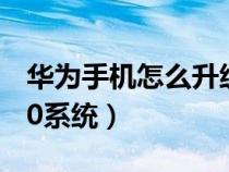 华为手机怎么升级9.1（华为9系统怎么升级10系统）