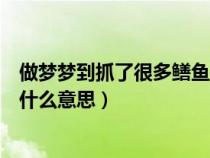 做梦梦到抓了很多鳝鱼是什么意思（做梦梦到抓好多鳝鱼是什么意思）