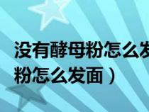 没有酵母粉怎么发面加白糖还是盐（没有酵母粉怎么发面）