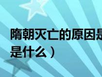 隋朝灭亡的原因是什么初一（隋朝灭亡的原因是什么）