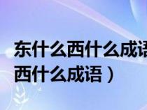 东什么西什么成语四个字带目字开头（东什么西什么成语）