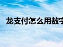 龙支付怎么用数字人民币（龙支付怎么用）