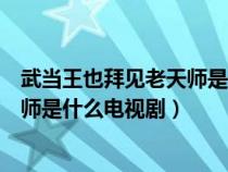 武当王也拜见老天师是什么电视剧名字（武当王也拜见老天师是什么电视剧）