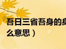 吾日三省吾身的身什么意思（吾日三省吾身什么意思）