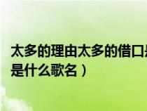 太多的理由太多的借口是什么歌曲?（太多的理由太多的借口是什么歌名）