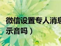 微信设置专人消息提醒（微信可以设置特别提示音吗）