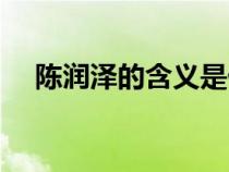 陈润泽的含义是什么（泽的含义是什么）