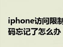 iphone访问限制忘记密码（苹果访问限制密码忘记了怎么办）