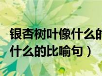 银杏树叶像什么的比喻句二年级（银杏树叶像什么的比喻句）