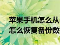 苹果手机怎么从icloud恢复数据（苹果手机怎么恢复备份数据）