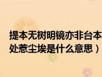 提本无树明镜亦非台本来无一物何处惹尘埃是什么意思（何处惹尘埃是什么意思）