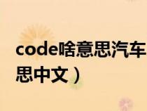 code啥意思汽车（code在小车里面是什么意思中文）