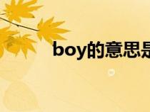 boy的意思是什么（boy的意思）