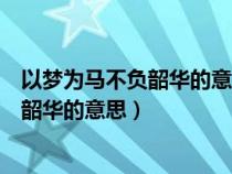 以梦为马不负韶华的意思差不多意思的短句（以梦为马不负韶华的意思）