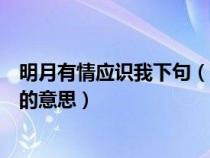 明月有情应识我下句（诗句明月有情应识我年年相见在他乡的意思）