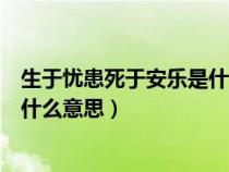 生于忧患死于安乐是什么意思啊翻译（生于忧患死于安乐是什么意思）