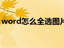 word怎么全选图片改大小（word怎么全选）