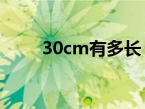 30cm有多长 参照（30cm有多长）