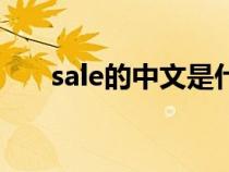 sale的中文是什么（sale的中文意思）