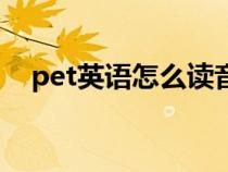 pet英语怎么读音发音（pet英语怎么读）