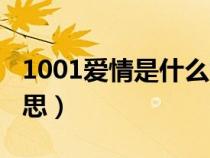 1001爱情是什么意思（1001在爱情里什么意思）