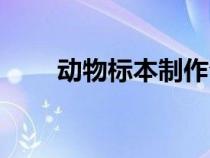 动物标本制作公司（动物标本制作）