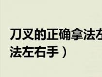 刀叉的正确拿法左右手左撇子（刀叉的正确拿法左右手）