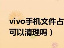 vivo手机文件占用内存大（vivo手机大文件可以清理吗）