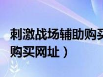 刺激战场辅助购买网址是多少（刺激战场辅助购买网址）