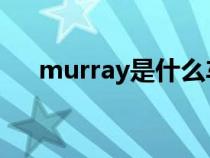 murray是什么车（murano是哪个车）