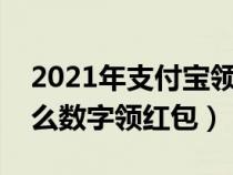 2021年支付宝领红包数字码（支付宝搜索什么数字领红包）