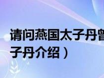 请问燕国太子丹曾派出谁去刺杀秦王（燕国太子丹介绍）