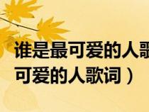 谁是最可爱的人歌词歌词是什么意思（谁是最可爱的人歌词）