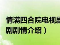 情满四合院电视剧剧情简介（情满四合院电视剧剧情介绍）