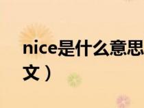 nice是什么意思中文意（nice是什么意思中文）