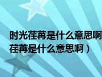 时光荏苒是什么意思啊门诊上半年的执业情况怎么写（时光荏苒是什么意思啊）