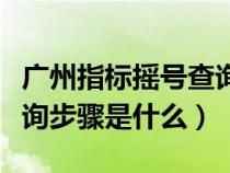 广州指标摇号查询结果（广州汽车指标摇号查询步骤是什么）