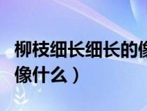 柳枝细长细长的像什么一样（柳枝细长细长的像什么）