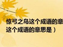 惊弓之鸟这个成语的意思是什么它启示我们什么（惊弓之鸟这个成语的意思是）