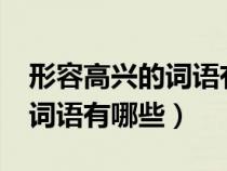 形容高兴的词语有哪些?二年级（形容高兴的词语有哪些）