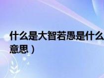 什么是大智若愚是什么意思的意思（大智若愚是什么意思的意思）